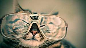 Why-Websites-by-Shift-ONE-Work-Clear-Vision